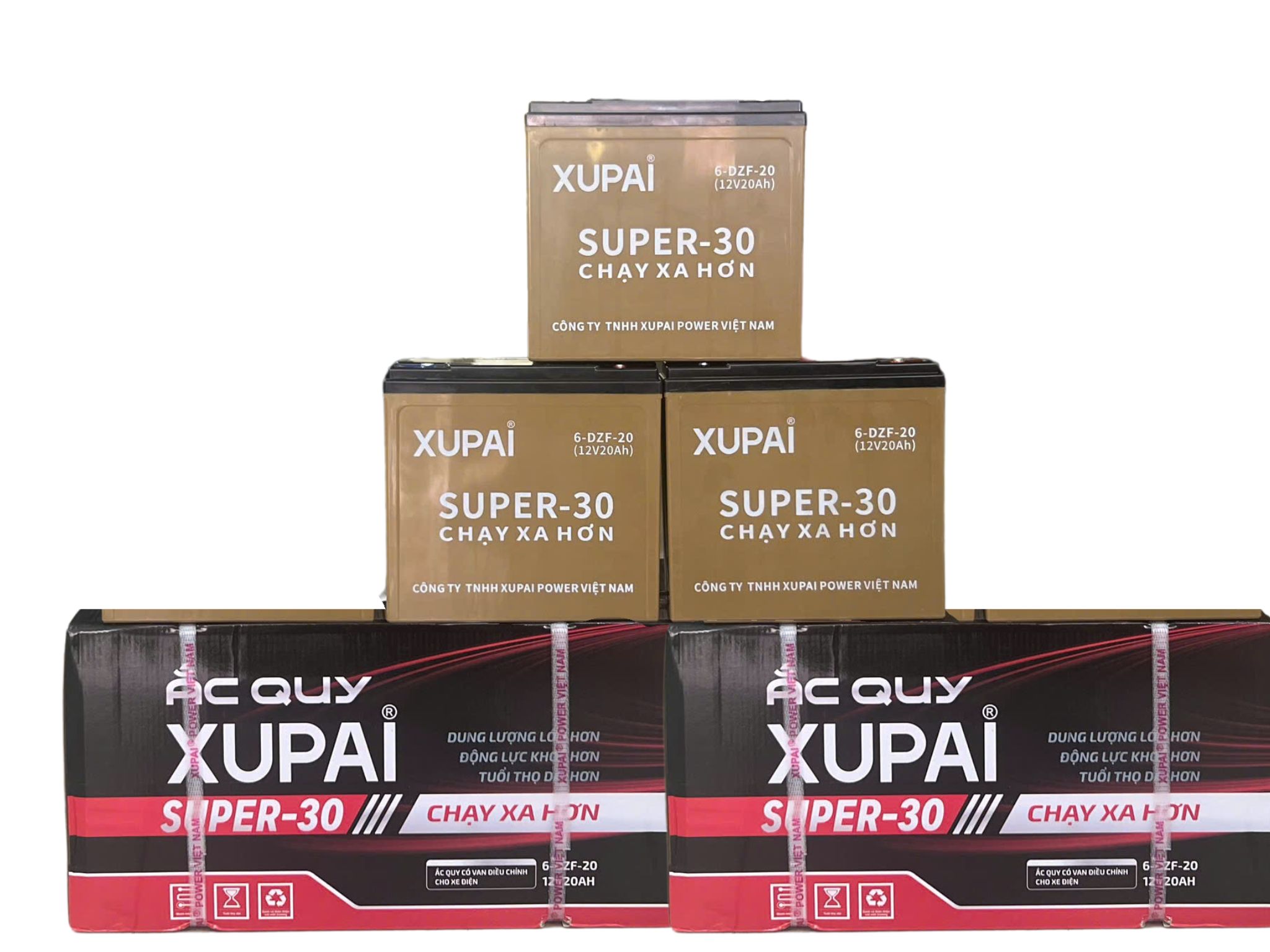bao-lau-phai-thay-ac-quy-xe-dien.3.jpg