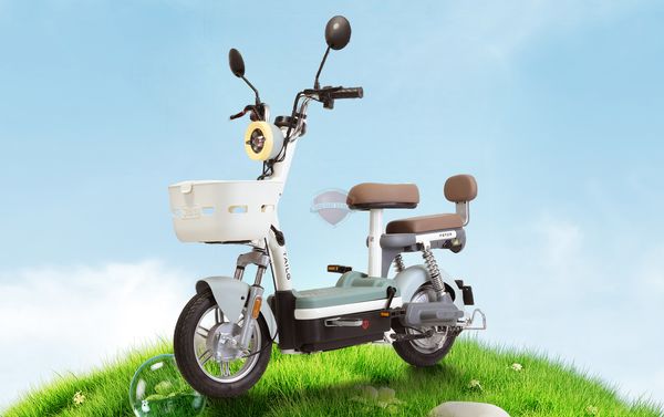 de-xuat-xe-dien-phai-co-bang-lai-JY33.jpg