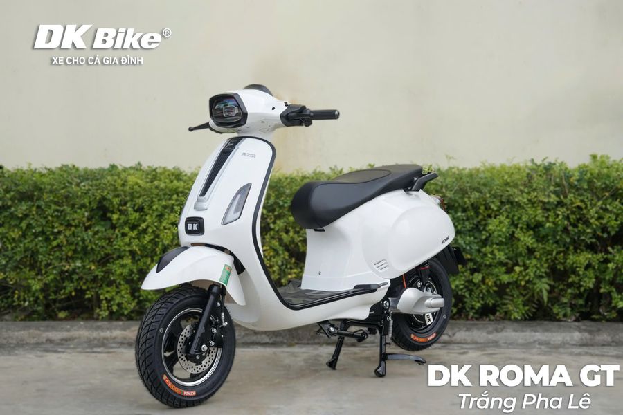 de-xuat-xe-dien-phai-co-bang-lai-roma-dk-gt.jpg