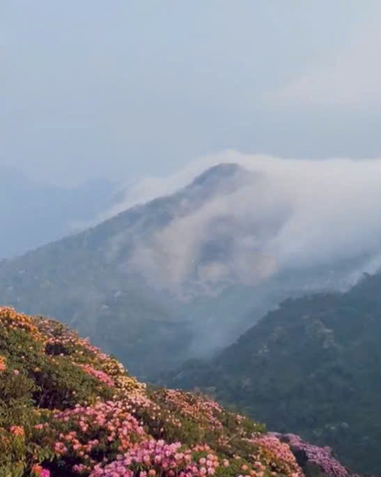 đỉnh tả liên sơn.jpg