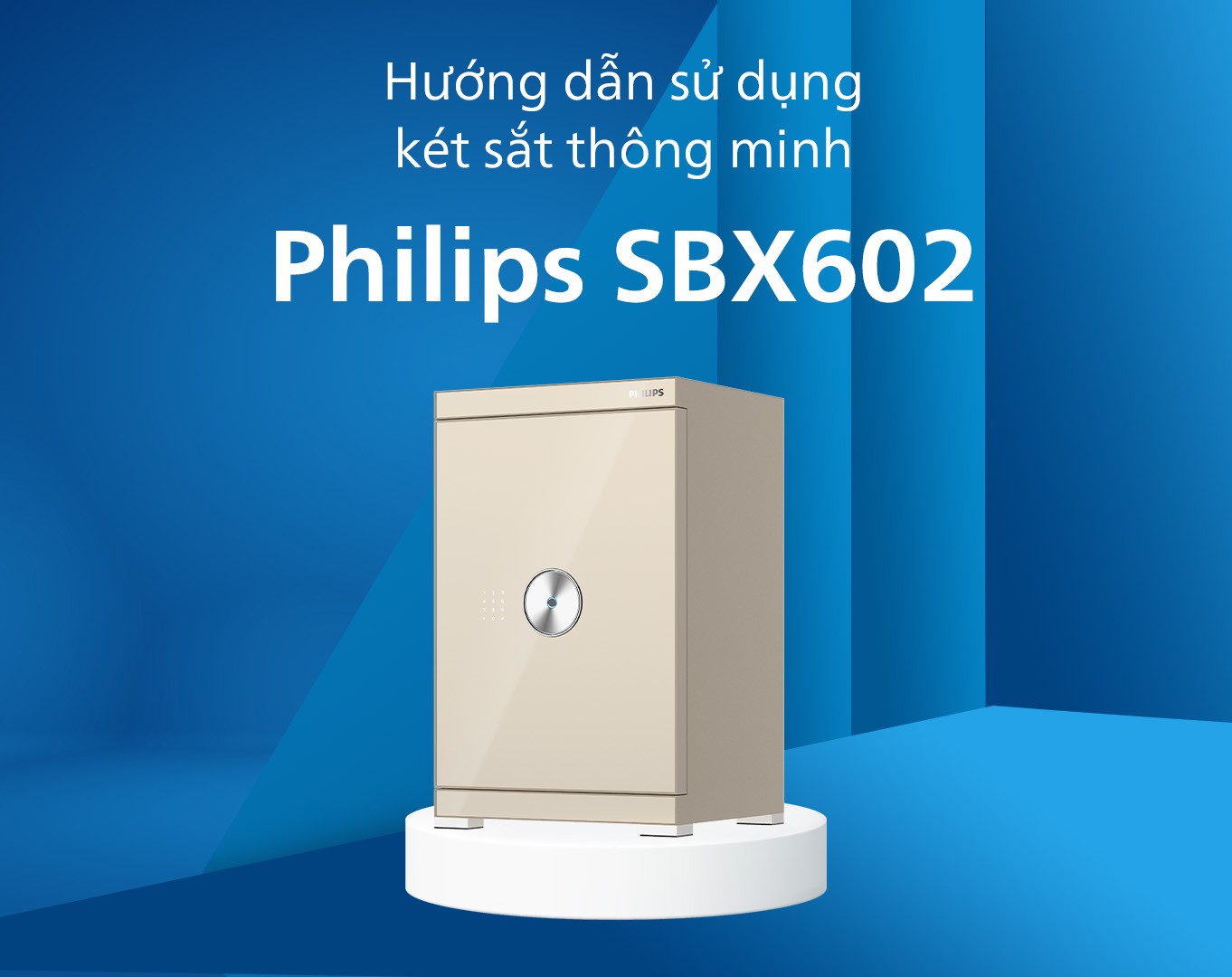 hdsd-602-copy.jpg