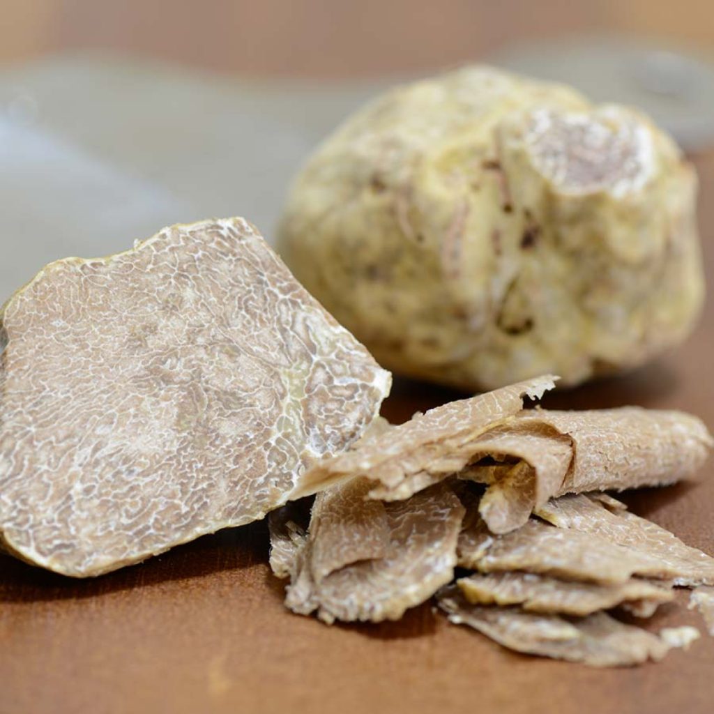 nam-truffle-5-1024x1024.jpg