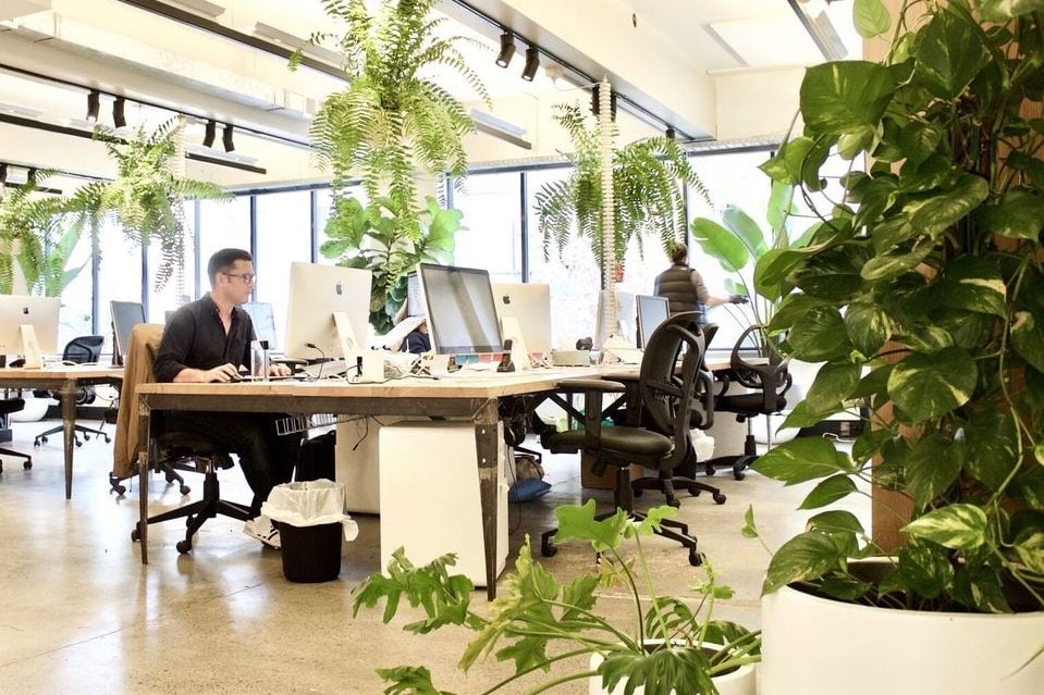 office-e1611453697228.jpg