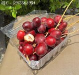 hop-dung-cha-la-10.jpg