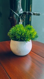 pexels-abhilash-32166143.jpg