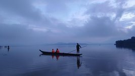 522871289.jpg
